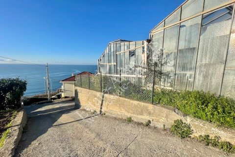 Helårsgrund i Ospedaletti, Imperia, Ospedaletti - € 200.000 | Ref: EM1275 - foto 12